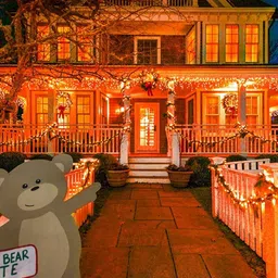 neerusstore 56 LEDs 18 m Orange Steady Ball Rice Lights image 2