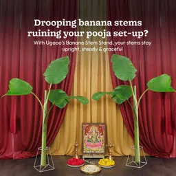 ugaoo Banana Plant Stand for Pooja – Set of 2 | Metal Pooja Decoration Stand Plant Container Set image 2