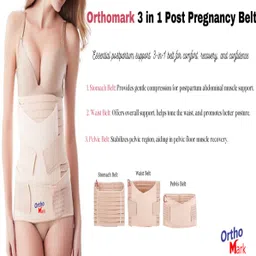 orthomark After c section/normal delivery postpartum belt for women 3 in1 Small 28-34inch Back / Lumbar Support image 4