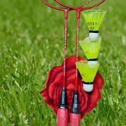 alok Alokjiger 97 Plastic Shuttle - Multicolor-picture-40