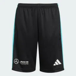 adidas performance MERCEDES - AMG PETRONAS FORMULA ONE TEAM DNA SHORT-picture-48