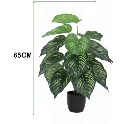 arick decor 2.2Ft Artificial Tabooj Plants With Black Pot 18 Leaves image 3