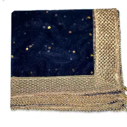 clothverse Net Embellished Dark Blue Women Dupatta-picture-27