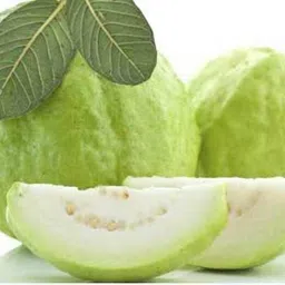 risenshine Guava Plant-picture-15