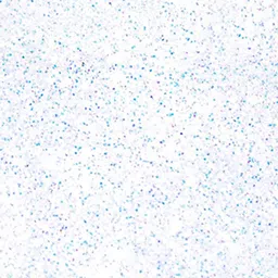 KINGDOM OF LASHES Vegan Glitter Eyeshadow - Angel White image 2