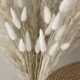 ArteCasa Naturally Dried White Bunch image 3