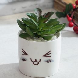 TAYHAA White & Green Artificial Succulent Plant with Pot-picture-28