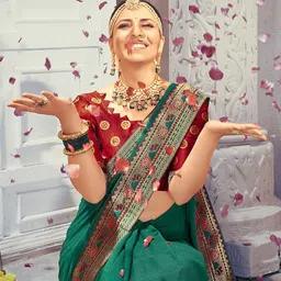 Mitera Embroidered Saree image 4