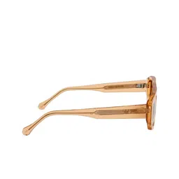 Ted Smith Unisex Wayfarer Sunglasses with Polarised and UV Protected Lens SUN-CAVALLI_C4 image 4