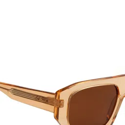 Ted Smith Unisex Wayfarer Sunglasses with Polarised and UV Protected Lens SUN-CAVALLI_C4 image 3