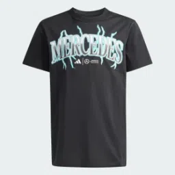 adidas performance Mercedes - AMG Petronas Formula One Team Graphic Tee-picture-27