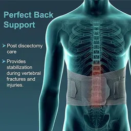 renoria Lumbar Sacral Waist Belt for Men/Women Back Pain Relief, (BLACK-XXL) Back / Lumbar Support image 4