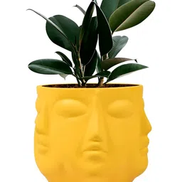 LASAKI Vivan Yellow Textured Ceramic Planter image 5