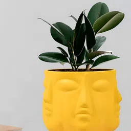 LASAKI Vivan Yellow Textured Ceramic Planter image 3