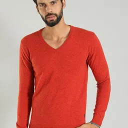 Indian Terrain V-Neck Sweater-picture-22