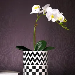 TAYHAA Black & White Printed Ceramic Planter-picture-10