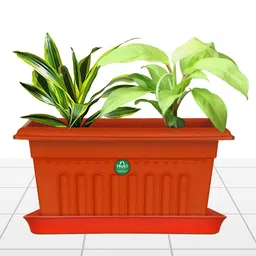 TRUSTBASKET 6-Pcs Brown Square Saucers Planters-picture-21