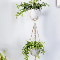 Homesake Set Of 2 Beige Macrame Plant Hangers Without Pot-image-27