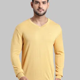 ColorPlus Men Yellow Solid V-neck Pullover Sweater-image-17