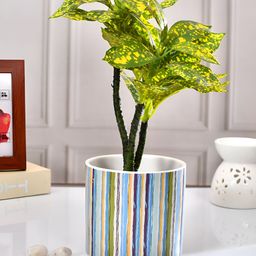 TAYHAA Blue & Cream-Coloured Thick-Striped Ceramic Round-Shaped Indoor Planter-picture-14