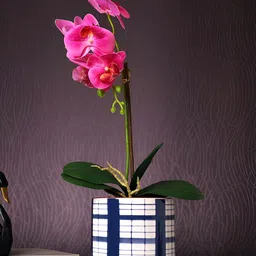 TAYHAA Blue & White Checked Ceramic Planter-picture-11
