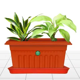 TRUSTBASKET 6 Pcs Brown Brand Logo Detailing Planter Saucers-picture-22