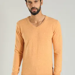 Indian Terrain V-Neck Sweater-picture-31