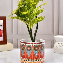 TAYHAA Red & White Vibrant Multi-Patterned Ceramic Round-Shaped Indoor Planter-picture-17