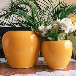 NIYARA Mustard Yellow 2 Pieces Ceramic Planters-image-92