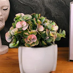 TAYHAA White Textured Ceramic Planter-picture-47