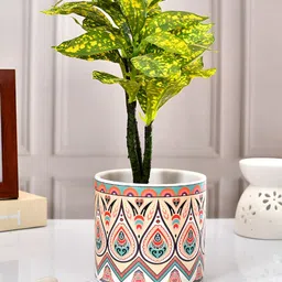 TAYHAA Cream-Coloured & White Artistic-Design Patterned Ceramic Round Indoor Planter-picture-0
