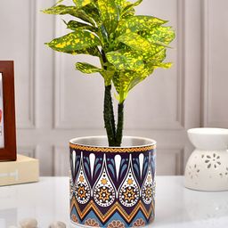 TAYHAA Blue & White Artistic-Design Patterned Ceramic Round-Shaped Indoor Planter-picture-30