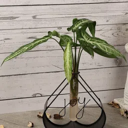 The Decor Mart Solid Metal Planter Stand image 2