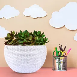 Kuber Industries White 3 Pieces Textured Hanging Planters image 3