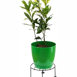 appeasy Black 6Pcs Round Metal Planter Stands image 4