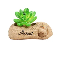 Wonderland Brown Resin Peanut-Shaped Planter image 3