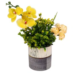 TAYHAA Black & White Printed Ceramic Planter image 4