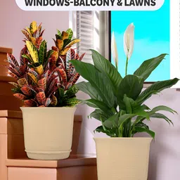 Kuber Industries White & Beige 4 Pieces Marble Finish Planters With Tray image 4