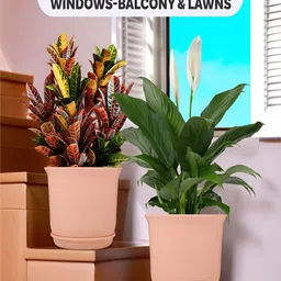 Kuber Industries Marble Sawera Peach & Green 4 Pieces Textured Planters With Tray image 3