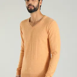 Indian Terrain V-Neck Sweater image 5
