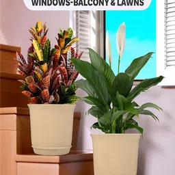 Kuber Industries Blue & Beige 2 Pieces Marble Finish Planters With Tray image 3