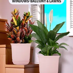 Kuber Industries White & Pink 4 Pieces Marble Finish Planters With Tray image 3