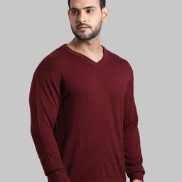 ColorPlus Men Maroon Solid Pullover image 4