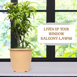 Kuber Industries Marble Duro Pink & Beige 12 Pieces Textured Lightweight Planters image 2