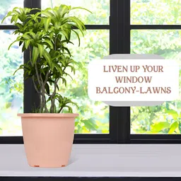 Kuber Industries Marble Duro Blue & Peach 6 Pieces Textured Lightweight Planters image 3