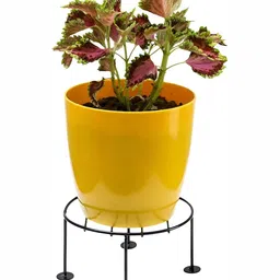 appeasy Black 6Pcs Round Metal Planter Stands image 2