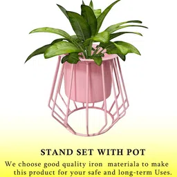 Homesake Pink 2 Pieces Metallic Metal Stand With Planter image 2