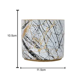 TAYHAA Black & White Printed Ceramic Planter image 5