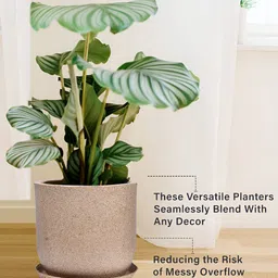 Kuber Industries Marble Jaguar Cream-Colored 6 Pieces Planter with Trays image 2