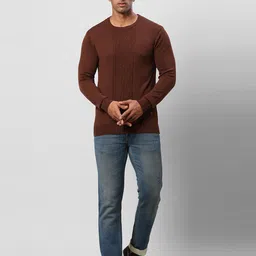 Raymond Men Brown Pullover image 4